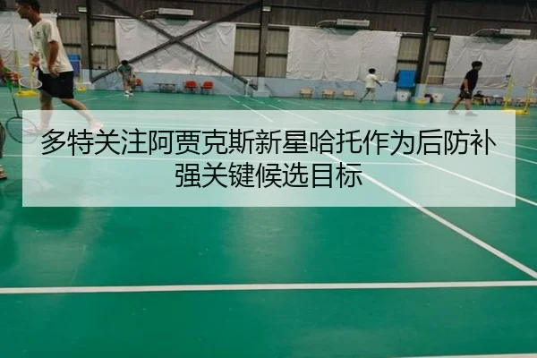 多特关注阿贾克斯新星哈托作为后防补强关键候选目标