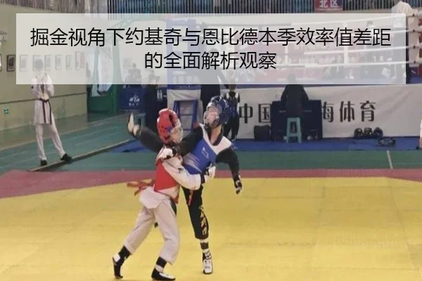 掘金视角下约基奇与恩比德本季效率值差距的全面解析观察