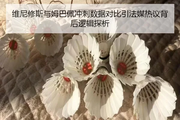 维尼修斯与姆巴佩冲刺数据对比引法媒热议背后逻辑探析